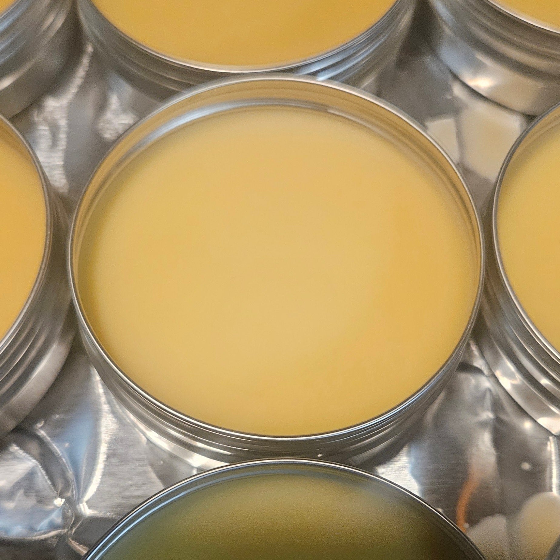 Seasoning Balm – for Slot Grill